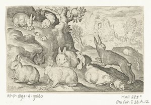 ウサギ、リス、モルモット、ネズミ Animalivm qvadrvpedvm (シリーズタイトル) 風景の中の動物（シリーズタイトル） 作： Nicolaes de Bruyn