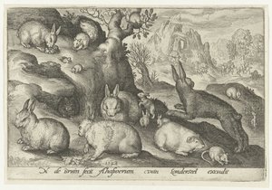 ウサギ、リス、モルモット、ネズミ Animalivm qvadrvpedvm (シリーズタイトル) 風景の中の動物（シリーズタイトル）
