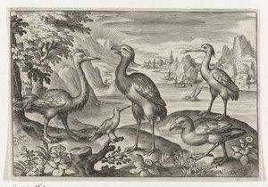 2 つのダチョウの間のタンチョウ 鳥と虫（連載タイトル） 作： Nicolaes de Bruyn