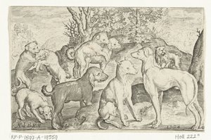 九匹の犬 Animalivm qvadrvpedvm (シリーズタイトル) 風景の中の動物（シリーズタイトル） 作： Nicolaes de Bruyn