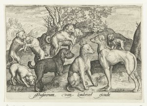 九匹の犬 Animalivm qvadrvpedvm (シリーズタイトル) 風景の中の動物（シリーズタイトル） 作： Nicolaes de Bruyn