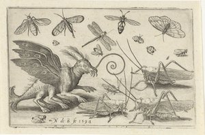 翼と水かきのある足を持つバッタと空想の生き物 鳥と虫（連載タイトル） 作： Nicolaes de Bruyn