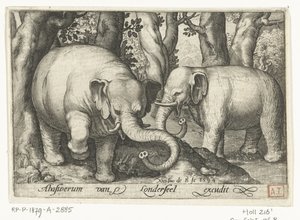 二頭のゾウ Animalivm qvadrvpedvm (シリーズタイトル) 風景の中の動物（シリーズタイトル） 作： Nicolaes de Bruyn