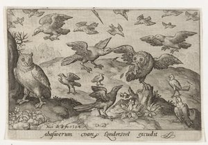 他の鳥に襲われた獲物を持つフクロウ 鳥と虫（連載タイトル） 作： Nicolaes de Bruyn
