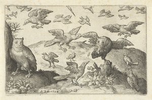 他の鳥に襲われた獲物を持つフクロウ 鳥と虫（連載タイトル） 作： Nicolaes de Bruyn