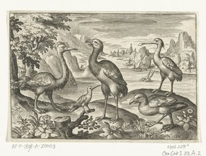 ヘラサギなど5羽 鳥と虫（連載タイトル） 作： Nicolaes de Bruyn