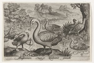 水の近くの白鳥とガチョウとアヒル 鳥と虫（連載タイトル） 作： Nicolaes de Bruyn