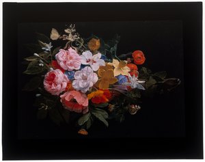 バラ、ハニーサックル、ユリ、スイセン、マリーゴールド、スネークヘッドフリティラリーの花束。 作： Nicolaes van Veerendael