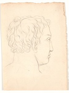 斜め後ろから見た男性の頭 作： Nicolai Abildgaard