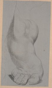 足の研究 作： Nicolai Abildgaard
