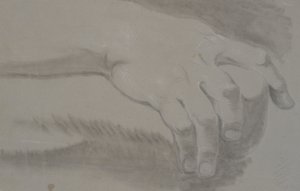 手の研究