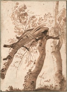 シルバーバーチ2本、フロント1本落ち、c。 1629年 作： Nicolas Poussin