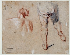 解剖学の研究 ニコラ・ヴルーゲルス（1668-1737）による油彩画 18世紀 パリ、ルーヴル美術館 作： Nicolas Vleughels