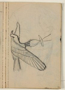 おそらく出版後の鳥の研究 作： Niels Larsen Stevns