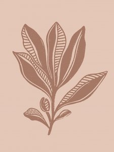 自然植物画 作： Nikita Jariwala