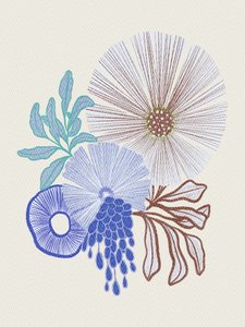  作： Nikita Jariwala