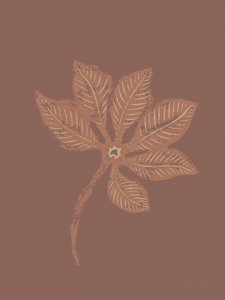 質感のある植物の葉 作： Nikita Jariwala