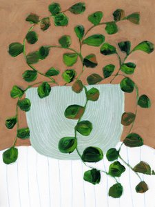 温かい観葉植物の鉢 作： 