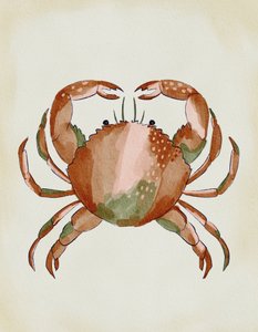 水彩画のカニ 作： 