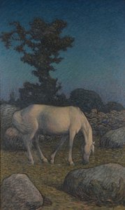 Cavalo branco ao entardecer 作： Nils Kreuger