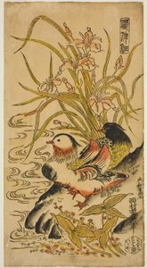 「華心斎」シリーズ オシドリ