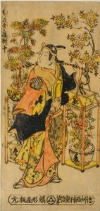 四季の花行商 三種セット（四季の花売さんぷくついい）
