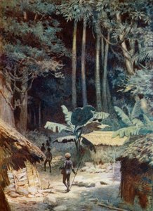 メラネシアの森の奥、1908年 作： Norman Hardy