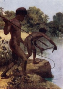 イギリス領ニューギニアの魚の刺身（カラーリトグラフ 作： Norman Hardy