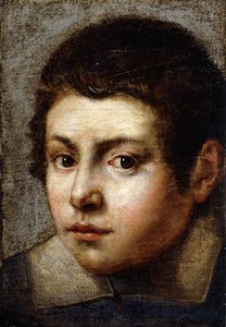 少年の頭 作： Northern Italian School