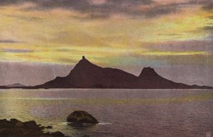 ノルウェーヘストマンド（カラー写真）
