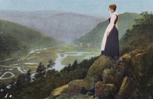 ノルウェーホフリンゲン（カラー写真） 作： Norwegian Photographer