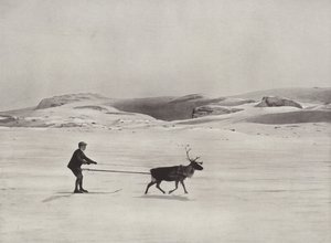 山でのトナカイのスキードライブ 作： Norwegian Photographer