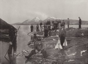 クリップフィッシュの洗浄 作： Norwegian Photographer