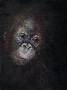 オランウータンの赤ちゃん 3, 2015 (アクリル、木)