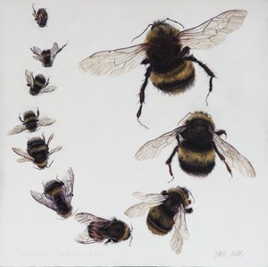 Bombus, 2015（ジェッソを塗った木にアクリル絵具）
