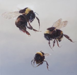 Bombus flight 1, 2011（アクリル、木） 作： オディール・キッド
