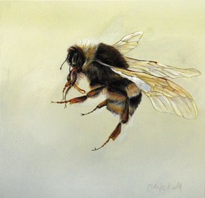 Bombus terrestris 4, 2011 （アクリル、木） 作： オディール・キッド