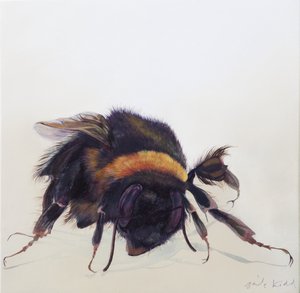 Bombus terrestris 9, 2013 (アクリル、木) 作： オディール・キッド