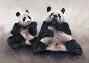 チャイナベア、ピクシウ、2014年（キャンバスにアクリル画） 作： オディール・キッド