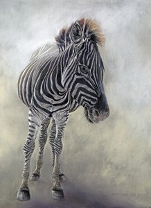 Equus burchelli 1, 2009 （木炭、コンテ、チョークパステル、ボッキングフォード紙） 作： オディール・キッド