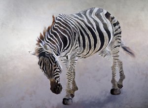 Equus burchelli 2, 2010（キャンバスにアクリル絵の具） 作： オディール・キッド