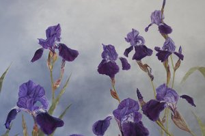 アイリス・ハイブリダ（詳細）、2015年（ジェッソを塗った木にアクリル絵具）