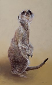 ミーアキャット2、2010（アクリル、木）