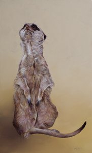 ミーアキャット3、2010（アクリル、木） 作： オディール・キッド