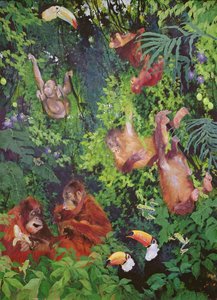 オランウータンとオオハシ 作： オディール・キッド