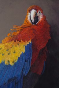 コンゴウインコ3（詳細）、2014年（アクリル、リネン） 作： オディール・キッド