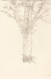 木