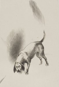彼［ナレーターの犬］はとても奇妙な目つきで私を見つめ続けていた。 作： Odilon Redon