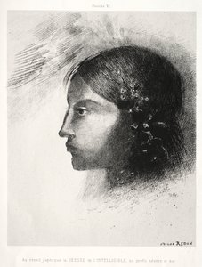 ゴヤへのオマージュ：目覚めたとき、私は1885年に知性の女神を見た。 作： Odilon Redon