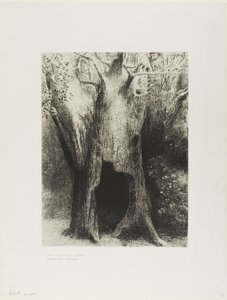 私は孤独に突入しました。 I Dwelt in the Tree behind Me、プレート 9/24 作： Odilon Redon